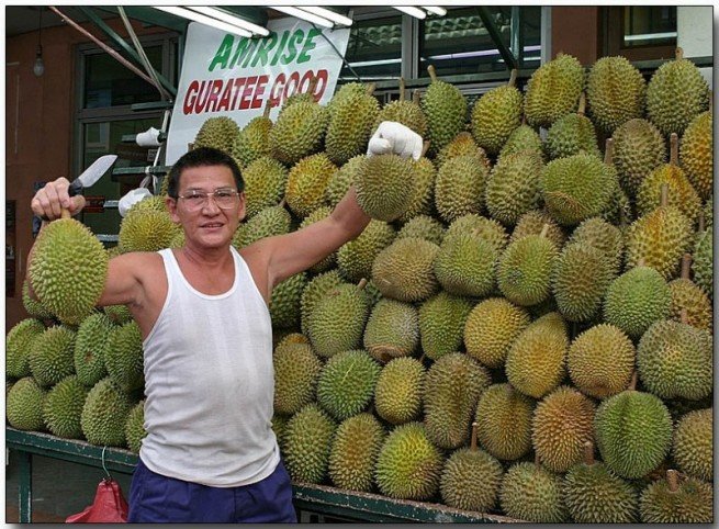 durian nedir