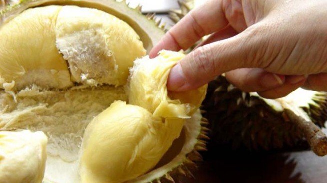 durian meyvesi faydaları