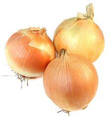soganin-zararlari